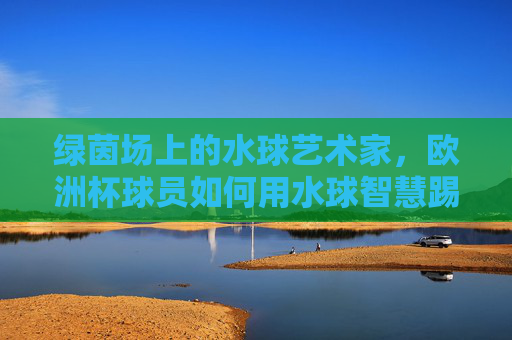 绿茵场上的水球艺术家,欧洲杯球员如何用水球智慧踢足球?绿茵水球艺术家,欧洲杯球员的足球智慧