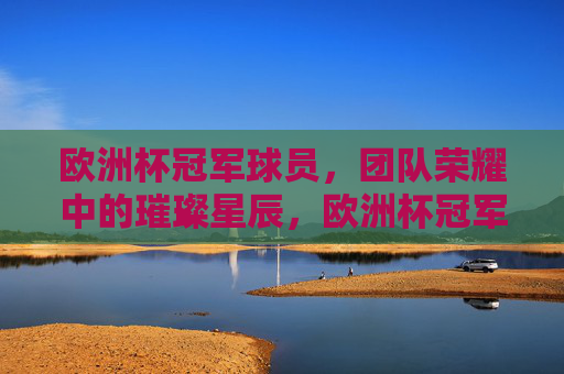 欧洲杯冠军球员，团队荣耀中的璀璨星辰，欧洲杯冠军球员，团队荣耀的璀璨星辰