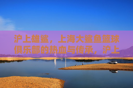 沪上雄鲨,上海大鲨鱼篮球俱乐部的热血与传承,沪上雄鲨,上海大鲨鱼的热血传承