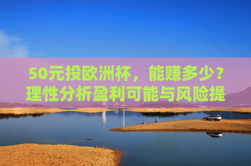 50元投欧洲杯,能赚多少?理性分析盈利可能与风险提示,50元投欧洲杯,盈利分析与风险提示