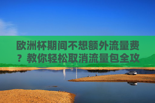 欧洲杯期间不想额外流量费?教你轻松取消流量包全攻略,欧洲杯期间取消流量包全攻略,轻松免额外流量费