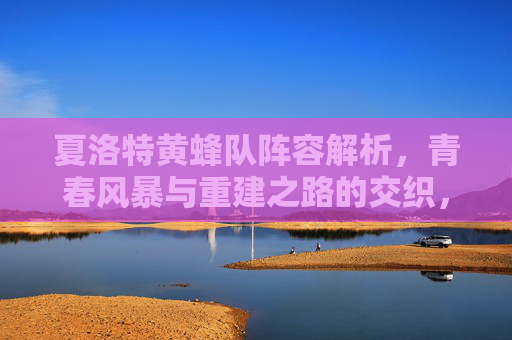 夏洛特黄蜂队阵容解析，青春风暴与重建之路的交织，夏洛特黄蜂阵容解析，青春风暴与重建之路的交织