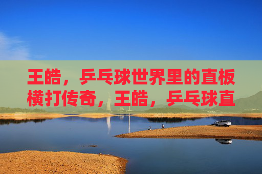 王皓,乒乓球世界里的直板横打传奇,王皓,乒乓球直板横打传奇