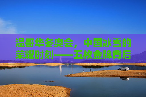 温哥华冬奥会,中国冰雪的荣耀时刻——五枚金牌背后的拼搏与梦想,温哥华冬奥会五金,中国冰雪荣耀与拼搏梦想