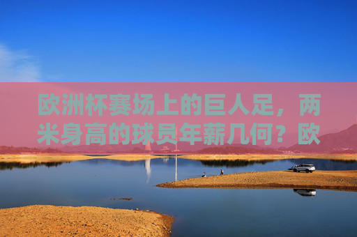 欧洲杯赛场上的巨人足,两米身高的球员年薪几何?欧洲杯两米巨人球员年薪几何?