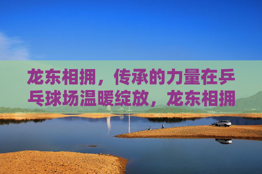 龙东相拥,传承的力量在乒乓球场温暖绽放,龙东相拥,乒乓球场传承的力量温暖绽放