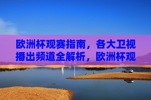 欧洲杯观赛指南，各大卫视播出频道全解析，欧洲杯观赛指南，各大卫视播出频道全解析
