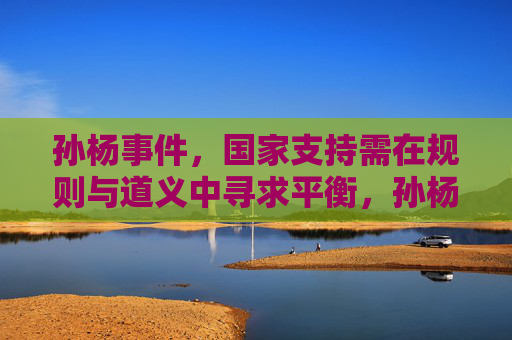 孙杨事件,国家支持需在规则与道义中寻求平衡,孙杨事件,国家支持需平衡规则与道义