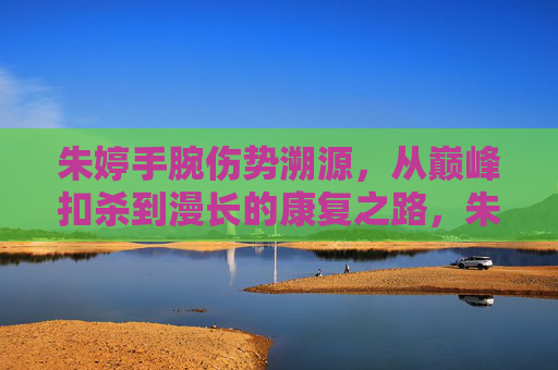 朱婷手腕伤势溯源,从巅峰扣杀到漫长的康复之路,朱婷手腕伤势,从巅峰扣杀到漫长康复