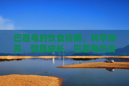 巴西龟的饮食指南,科学喂养,健康成长,巴西龟饮食指南,科学喂养助力健康成长