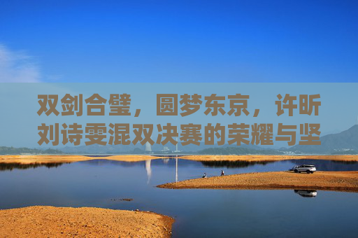 双剑合璧,圆梦东京,许昕刘诗雯混双决赛的荣耀与坚守,双剑合璧圆梦东京,许昕刘诗雯混双决赛荣耀坚守
