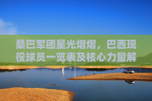 桑巴军团星光熠熠,巴西现役球员一览表及核心力量解析,桑巴军团星光熠熠,现役球员与核心力量解析