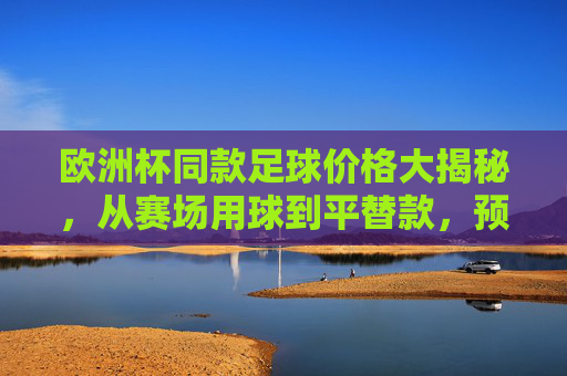 欧洲杯同款足球价格大揭秘，从赛场用球到平替款，预算多少能入手？欧洲杯同款足球价格大揭秘，从赛场用球到平替款，预算多少能入手？