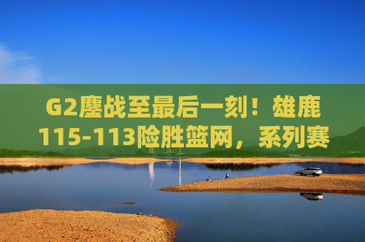 G2鏖战至最后一刻!雄鹿115-113险胜篮网,系列赛2-0占先机