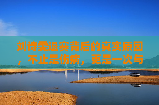 刘诗雯退赛背后的真实原因,不止是伤病,更是一次与自我的和解,刘诗雯退赛真实原因,不止伤病,更是与自我的和解