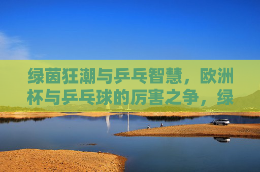 绿茵狂潮与乒乓智慧，欧洲杯与乒乓球的厉害之争，绿茵狂潮与乒乓智慧，欧洲杯与乒乓球的巅峰对决