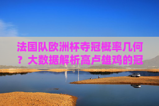 法国队欧洲杯夺冠概率几何？大数据解析高卢雄鸡的冠军之路，法国队欧洲杯夺冠概率，大数据解析高卢雄鸡的冠军之路