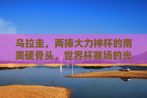 乌拉圭，两捧大力神杯的南美硬骨头，世界杯赛场的光荣与梦想，乌拉圭，两捧大力神杯的南美硬骨头与世界杯荣光