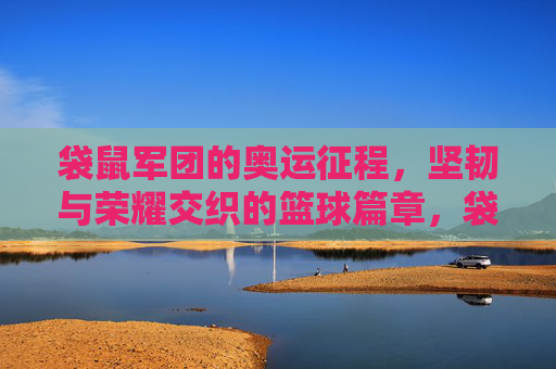 袋鼠军团的奥运征程，坚韧与荣耀交织的篮球篇章，袋鼠军团奥运征程，坚韧与荣耀的篮球篇章