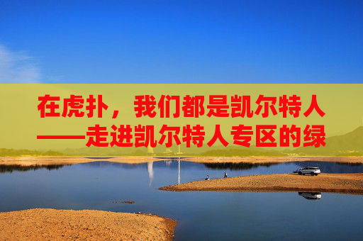 在虎扑,我们都是凯尔特人——走进凯尔特人专区的绿军魂与烟火气,虎扑凯尔特人,绿军魂燃起,烟火气里都是自己