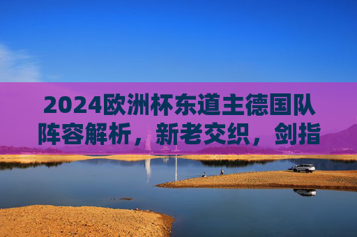 2024欧洲杯东道主德国队阵容解析,新老交织,剑指冠军之巅