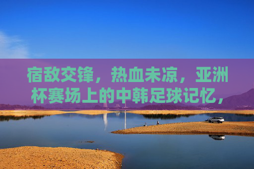 宿敌交锋,热血未凉,亚洲杯赛场上的中韩足球记忆,宿敌交锋热血未凉,亚洲杯中韩足球记忆