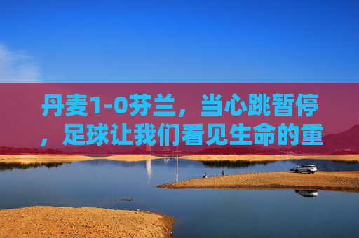 丹麦1-0芬兰,当心跳暂停,足球让我们看见生命的重量