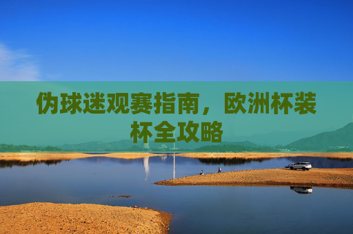 伪球迷观赛指南,欧洲杯装杯全攻略
