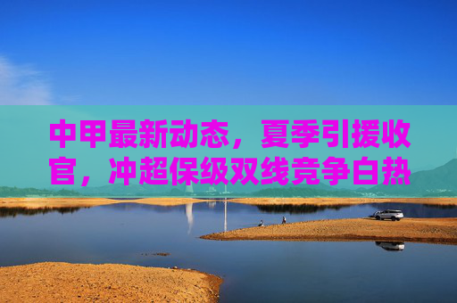 中甲最新动态,夏季引援收官,冲超保级双线竞争白热化,中甲夏季引援收官,冲超保级双线竞争白热化
