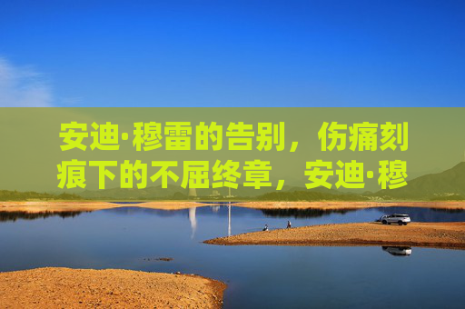 安迪·穆雷的告别,伤痛刻痕下的不屈终章,安迪·穆雷告别战,伤痕铸就不屈终章