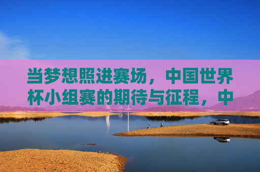 当梦想照进赛场，中国世界杯小组赛的期待与征程，中国世界杯小组赛，梦想征途启幕