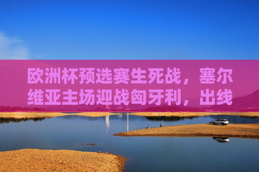 欧洲杯预选赛生死战,塞尔维亚主场迎战匈牙利,出线权之争一触即发,欧洲杯预选赛生死战,塞尔维亚主场迎战匈牙利,出线权之争一触即发