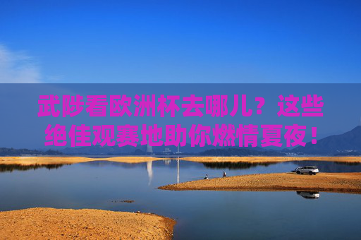 武陟看欧洲杯去哪儿?这些绝佳观赛地助你燃情夏夜!武陟欧洲杯观赛地,燃情夏夜,绝佳去处!