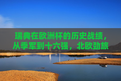 瑞典在欧洲杯的历史战绩,从季军到十六强,北欧劲旅的起伏之路,瑞典欧洲杯起伏之路,从季军到十六强