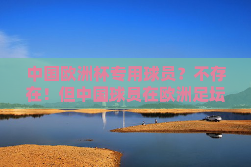 中国欧洲杯专用球员？不存在！但中国球员在欧洲足坛的身影值得关注，中国球员欧洲足坛身影，值得关注的足迹