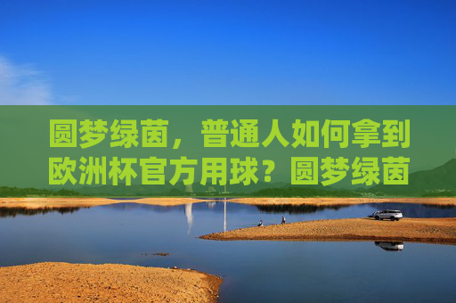 圆梦绿茵,普通人如何拿到欧洲杯官方用球?圆梦绿茵,普通人如何拿到欧洲杯官方用球?