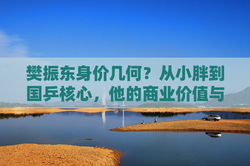 樊振东身价几何?从小胖到国乒核心,他的商业价值与财富版图解析,樊振东,从小胖到国乒核心的商业价值与财富版图