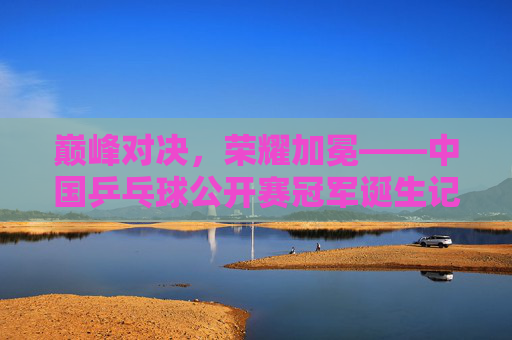 巅峰对决，荣耀加冕——中国乒乓球公开赛冠军诞生记，巅峰对决，荣耀加冕——中国乒乓球公开赛冠军诞生