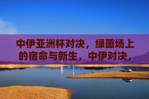 中伊亚洲杯对决，绿茵场上的宿命与新生，中伊对决，宿命与新生