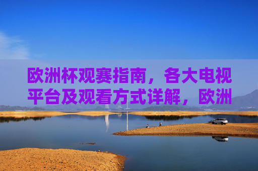 欧洲杯观赛指南,各大电视平台及观看方式详解,欧洲杯观赛指南,电视平台与观看方式详解