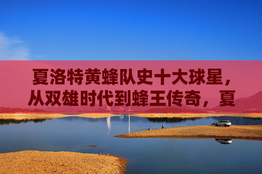 夏洛特黄蜂队史十大球星,从双雄时代到蜂王传奇,夏洛特黄蜂队史十大球星,从双雄时代到蜂王传奇