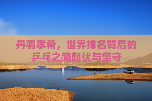 丹羽孝希,世界排名背后的乒乓之路起伏与坚守