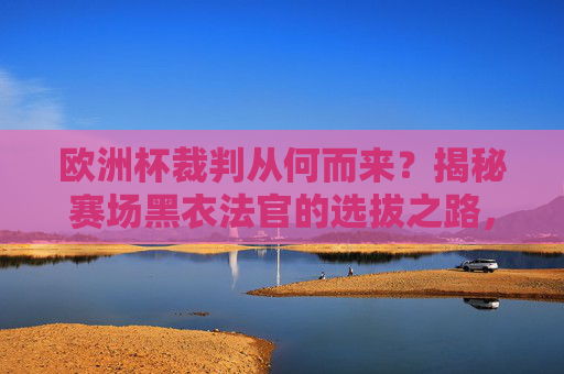 欧洲杯裁判从何而来?揭秘赛场黑衣法官的选拔之路,揭秘欧洲杯裁判选拔之路