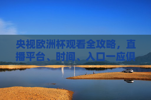 央视欧洲杯观看全攻略，直播平台、时间、入口一应俱全，央视欧洲杯观看全攻略，直播平台、时间、入口一应俱全