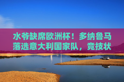水爷缺席欧洲杯！多纳鲁马落选意大利国家队，竞技状态与战术抉择背后的三大谜题，水爷缺席欧洲杯，多纳鲁马落选，竞技状态与战术抉择三大谜题