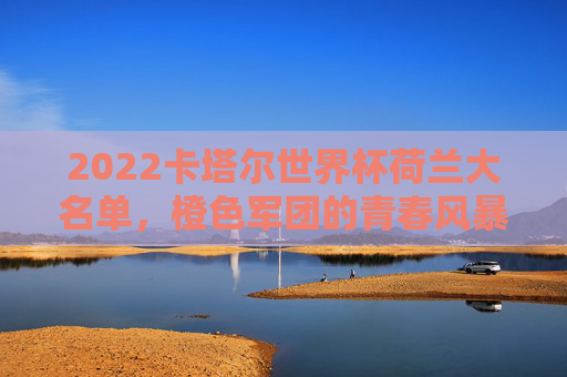 2022卡塔尔世界杯荷兰大名单，橙色军团的青春风暴与战术坚守，2022卡塔尔世界杯荷兰大名单，橙色军团青春风暴与战术坚守