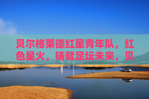 贝尔格莱德红星青年队,红色星火,铸就足坛未来,贝尔格莱德红星青年队,红色星火铸就足坛未来