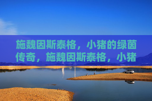 施魏因斯泰格,小猪的绿茵传奇,施魏因斯泰格,小猪的绿茵传奇