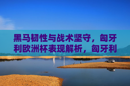黑马韧性与战术坚守,匈牙利欧洲杯表现解析,匈牙利欧洲杯黑马韧性,战术坚守下的表现解析