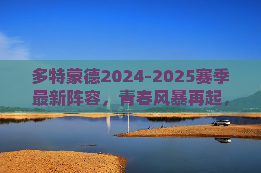 多特蒙德2024-2025赛季最新阵容，青春风暴再起，黄黑军团的争冠拼图，青春风暴再起！多特蒙德2024-25赛季争冠新阵